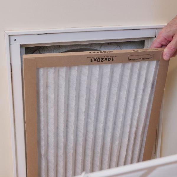 5 Ways To Eliminate Dust Mites in Your Home