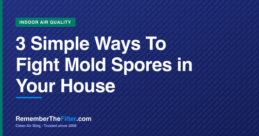 3 Simple Ways To Fight Mold Spores in Your House