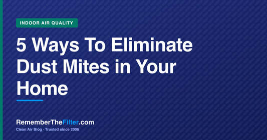 5 Ways To Eliminate Dust Mites in Your Home