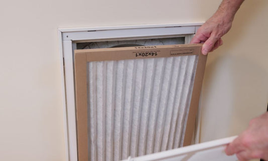 5 Ways To Eliminate Dust Mites in Your Home