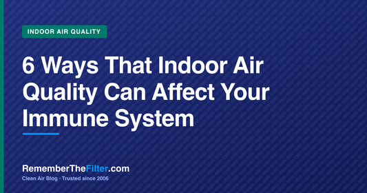 6 Ways That Indoor Air Quality Can Affect Your Immune System