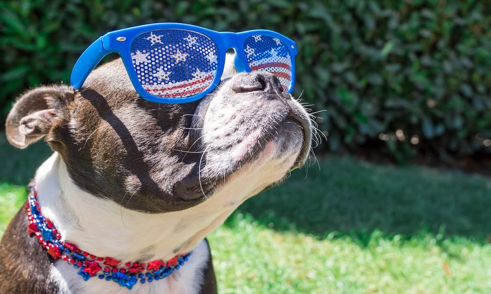 Celebrate Independence Day with Clean Air: Tips from RememberTheFilter.com!