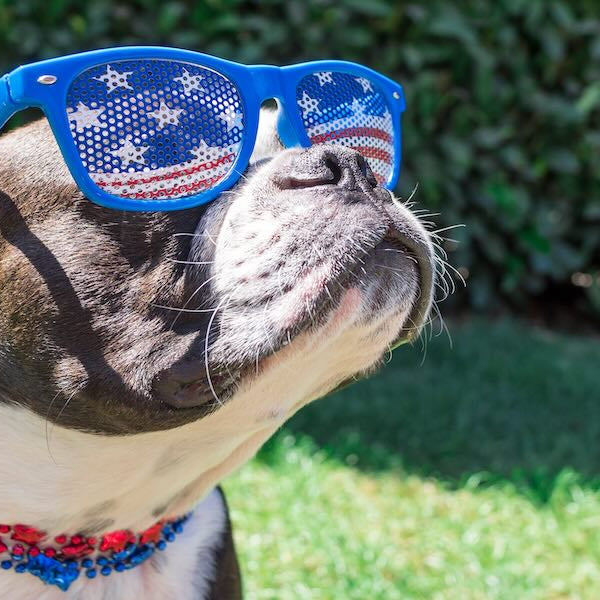 Celebrate Independence Day with Clean Air: Tips from RememberTheFilter.com!