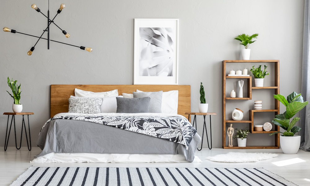 The Refreshing Slumber: Benefits of Sleeping with Plants in Your Bedroom
