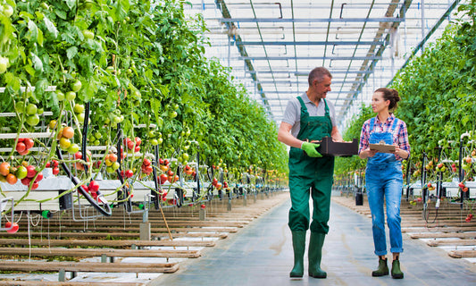 HVAC Maintenance for Greenhouses: Balancing Temperature and Humidity