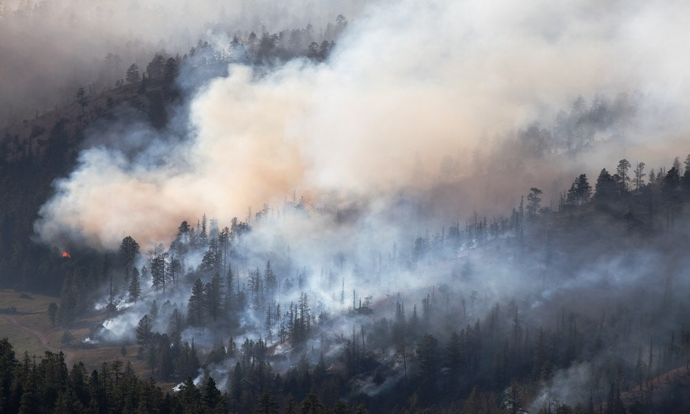 Ensuring Clean Air During Wildfire Season: A Homeowner’s Guide