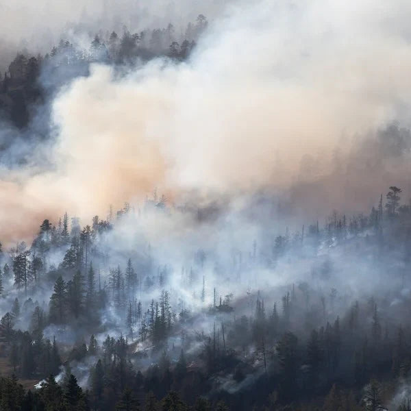 Mitigate Harmful Airborne Pathogens from Wildfire Smoke