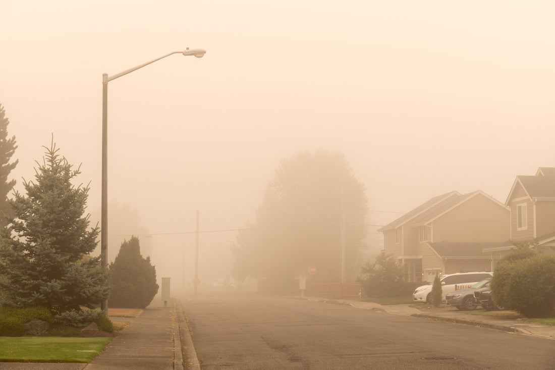 Wildfire Smoke and Your HVAC Filter: What MERV Helps