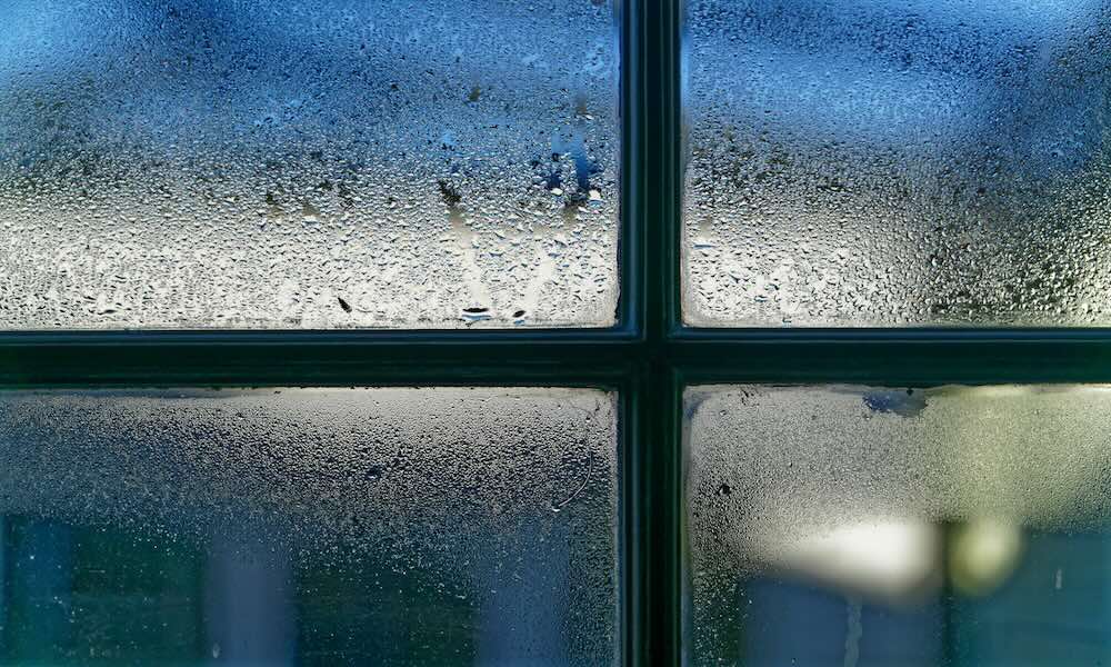 The Link Between Humidity and Air Quality: What You Need to Know