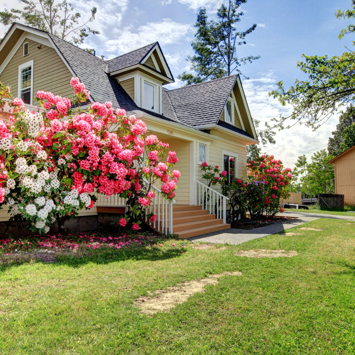 Spring into Clean Air: Why Your HVAC System Needs Attention Now