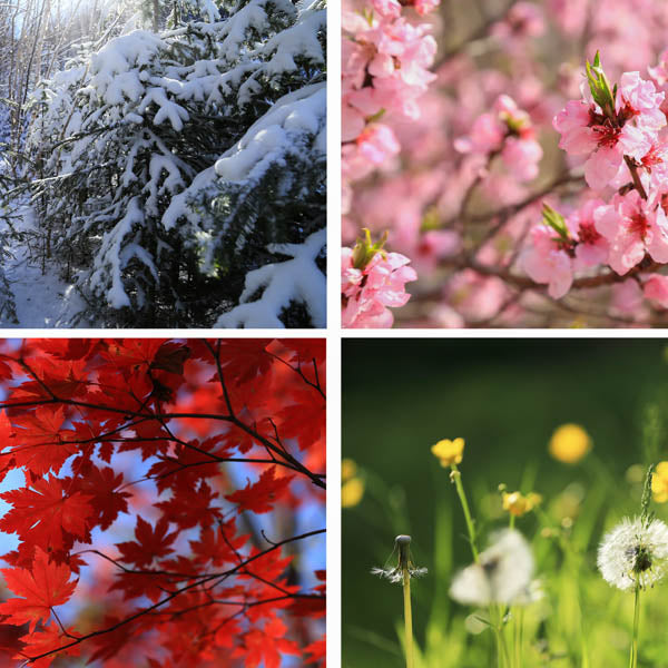 How Often Should You Change Your HVAC Filters? A Seasonal Guide