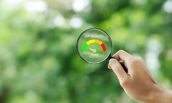 How Outdoor Air Quality Affects Your Indoor Air