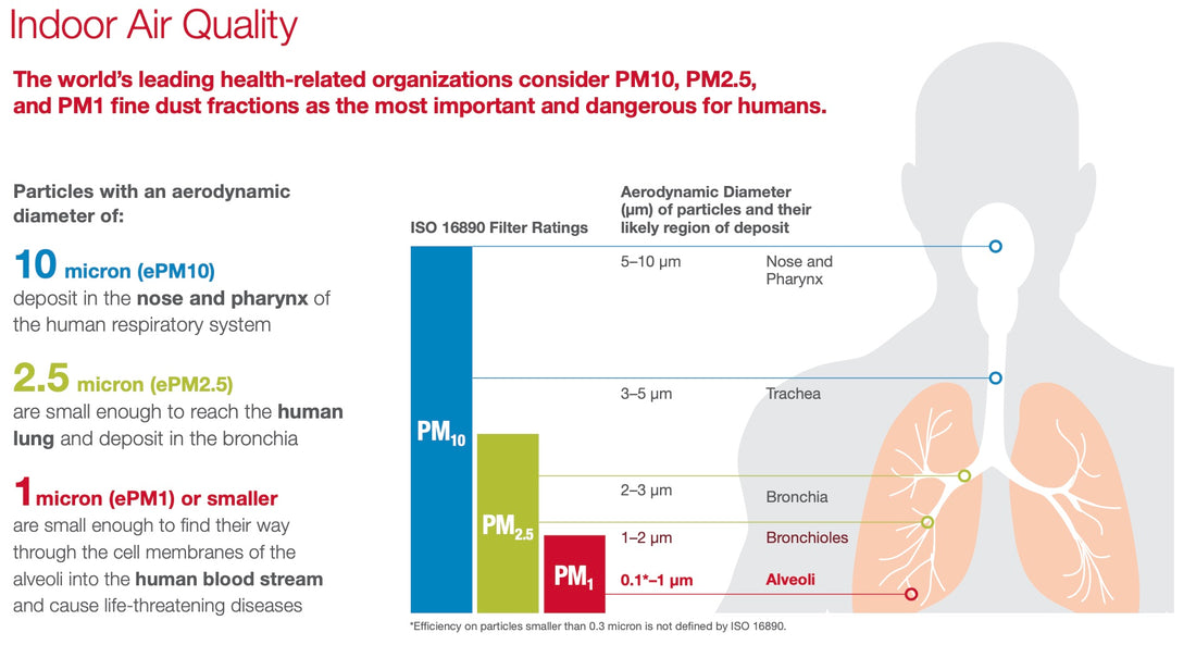 The Urgent Risk of Poor Air Quality