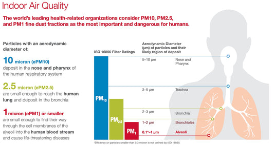 The Urgent Risk of Poor Air Quality