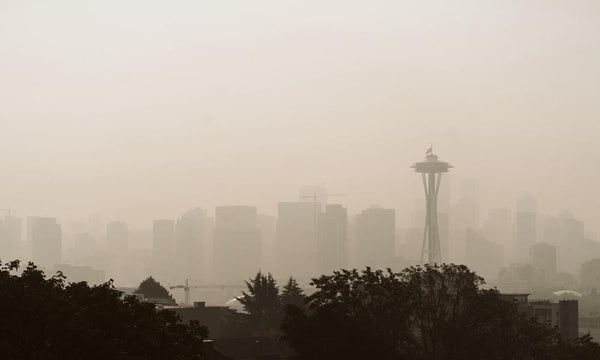 Monitoring Air Quality in the Pacific Northwest Amid Wildfires