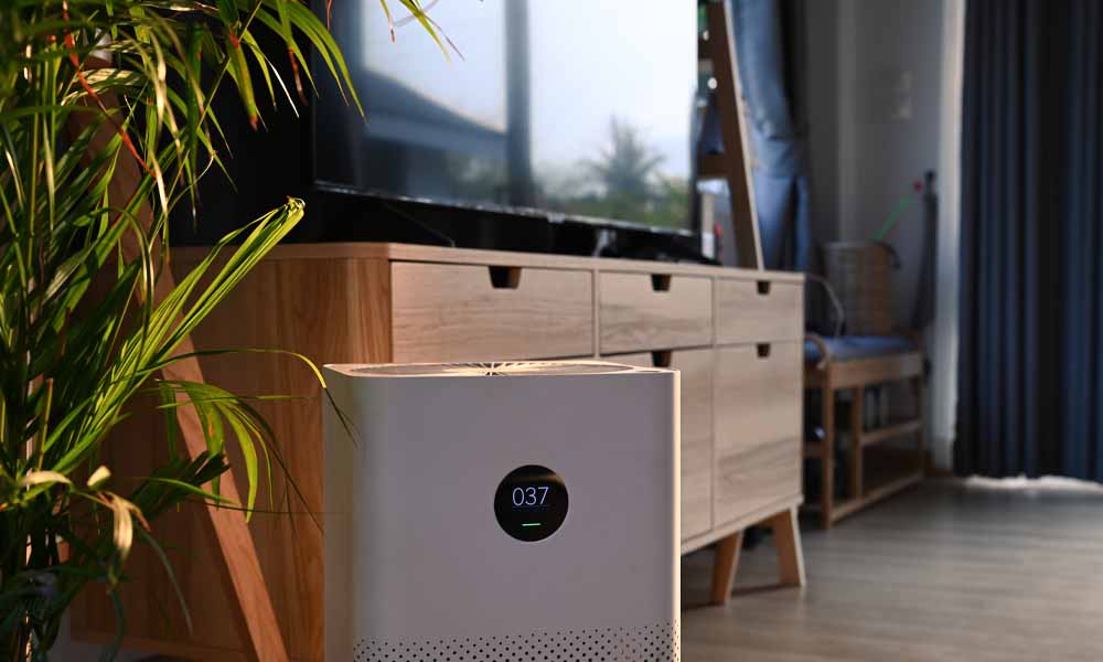 Natural Ways to Improve Indoor Air Quality