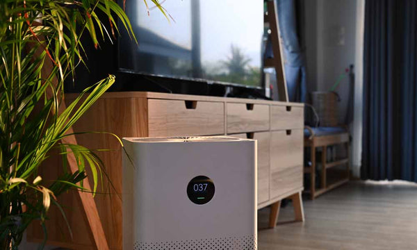 Natural Ways to Improve Indoor Air Quality