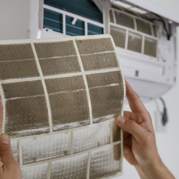 How To Control Dampness and Mold Indoors
