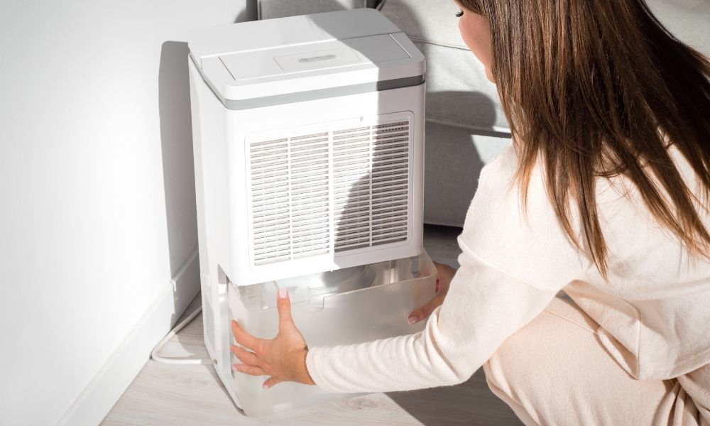 Dehumidifier Benefits and When To Use One