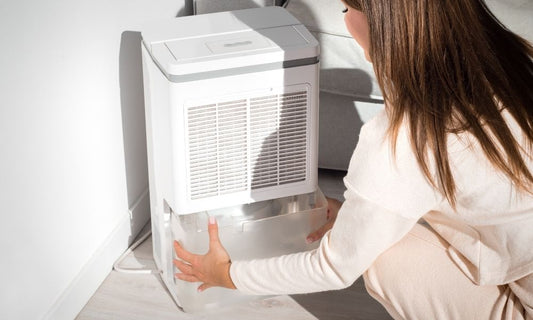Dehumidifier Benefits and When To Use One