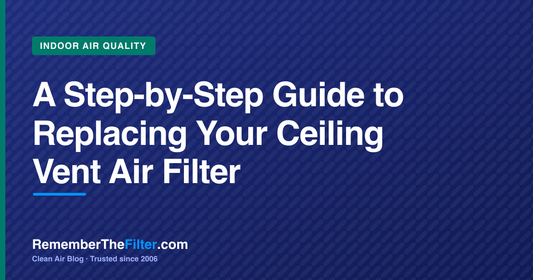 A Step-by-Step Guide to Replacing Your Ceiling Vent Air Filter