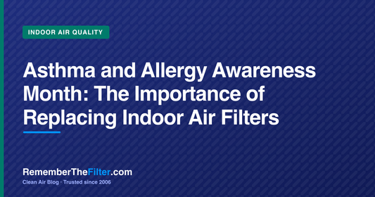 Asthma and Allergy Awareness Month: The Importance of Replacing Indoor Air Filters