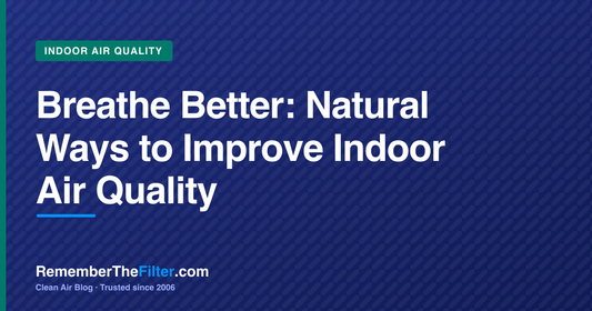 Breathe Better: Natural Ways to Improve Indoor Air Quality