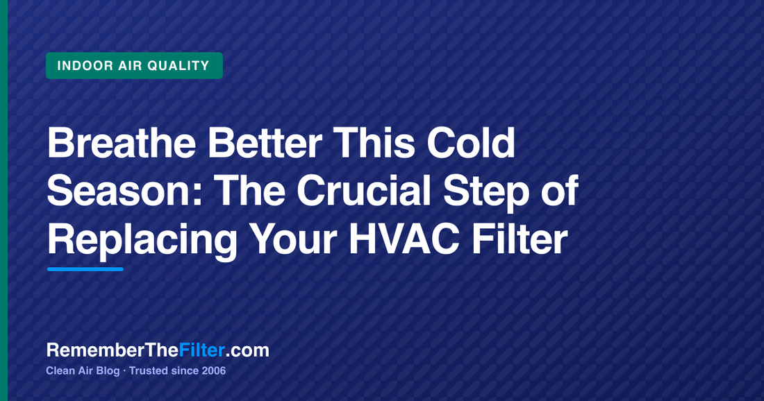 Breathe Better This Cold Season: The Crucial Step of Replacing Your HVAC Filter