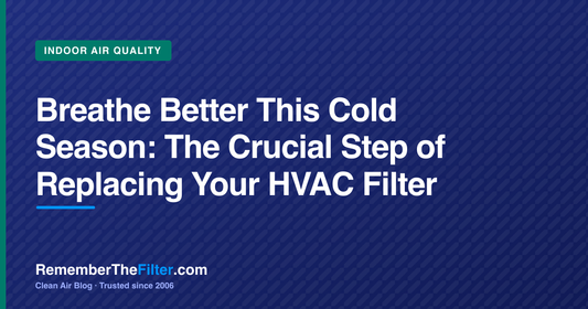 Breathe Better This Cold Season: The Crucial Step of Replacing Your HVAC Filter
