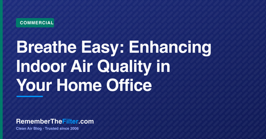 Breathe Easy: Enhancing Indoor Air Quality in Your Home Office