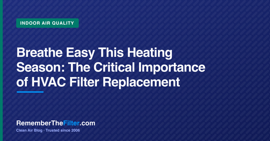 Breathe Easy This Heating Season: The Critical Importance of HVAC Filter Replacement