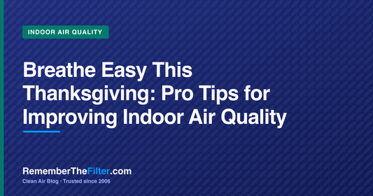 Breathe Easy This Thanksgiving: Pro Tips for Improving Indoor Air Quality