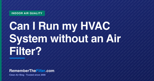 Can I Run my HVAC System without an Air Filter?