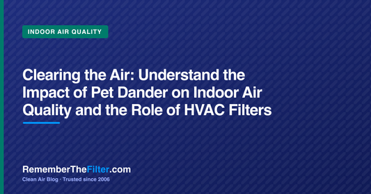 Clearing the Air: Understand the Impact of Pet Dander on Indoor Air Quality and the Role of HVAC Filters