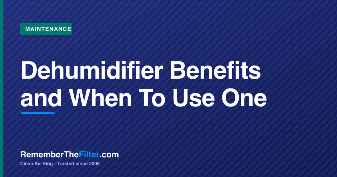 Dehumidifier Benefits and When To Use One