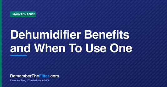 Dehumidifier Benefits and When To Use One