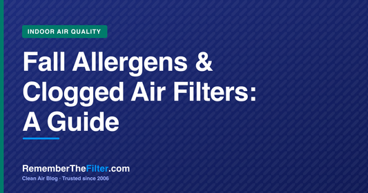 Fall Allergens & Clogged Air Filters: A Guide