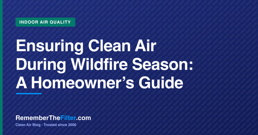 Ensuring Clean Air During Wildfire Season: A Homeowner’s Guide