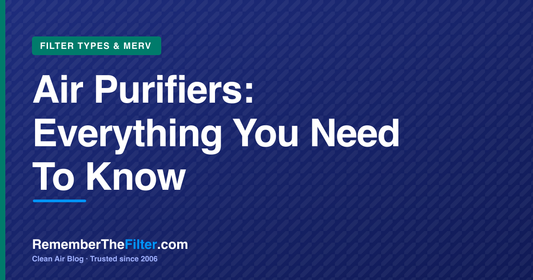 Air Purifiers: Everything You Need To Know