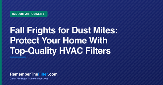 Fall Frights for Dust Mites: Protect Your Home With Top-Quality HVAC Filters