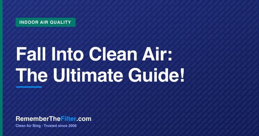 Fall Into Clean Air: The Ultimate Guide!