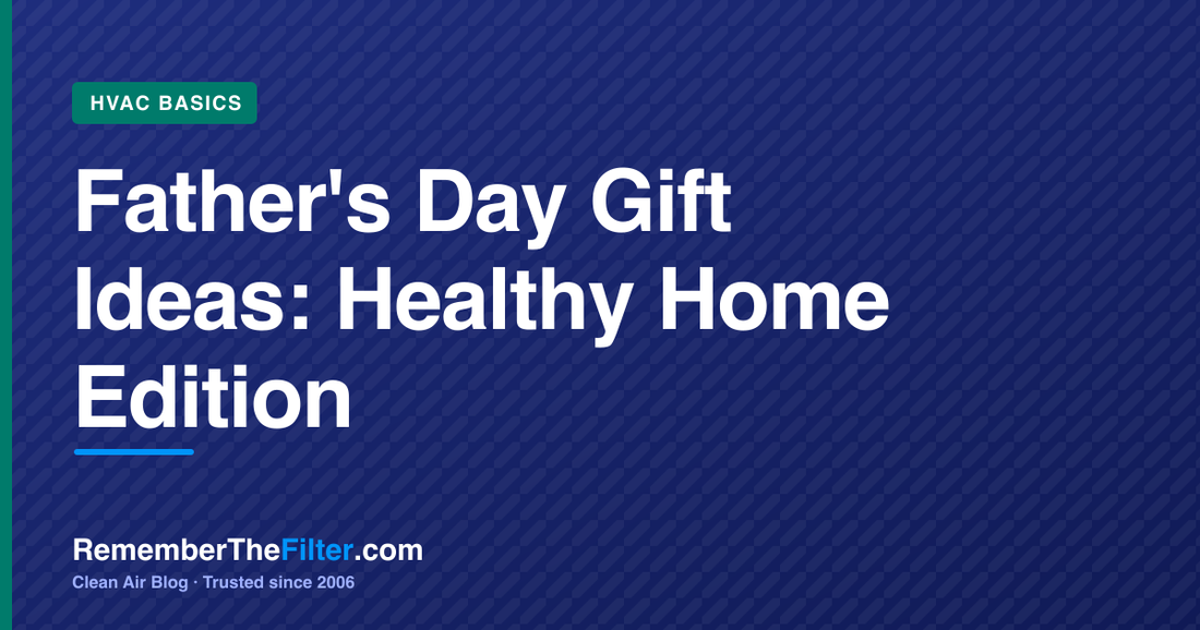 Father's Day Gift Ideas: Healthy Home Edition