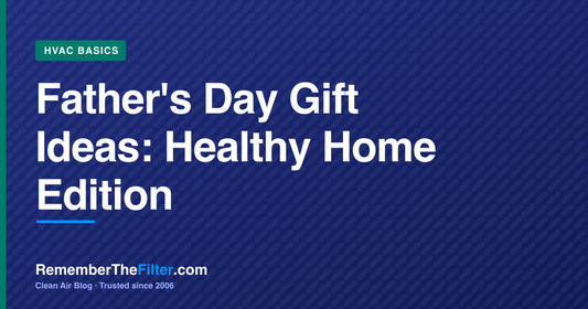 Father's Day Gift Ideas: Healthy Home Edition