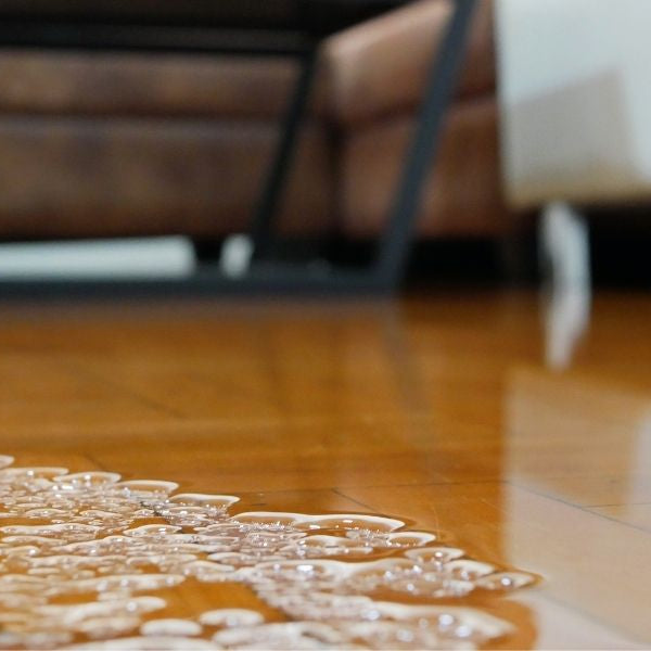 How Water Damage Can Impact the Air Quality in Your Home
