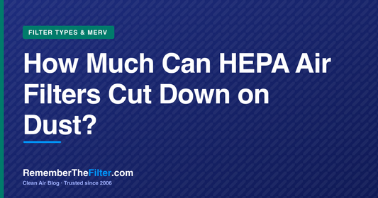 How Much Can HEPA Air Filters Cut Down on Dust?