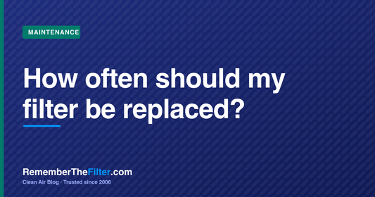 How often should my filter be replaced?
