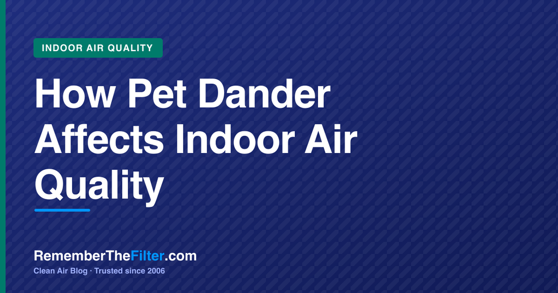 How Pet Dander Affects Indoor Air Quality