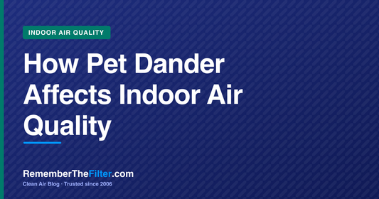 How Pet Dander Affects Indoor Air Quality