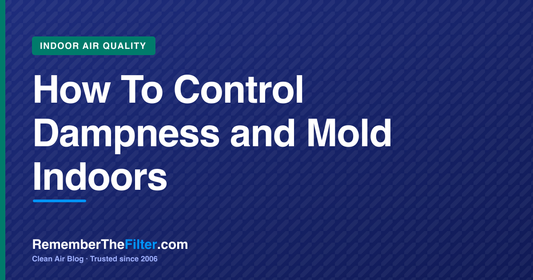 How To Control Dampness and Mold Indoors