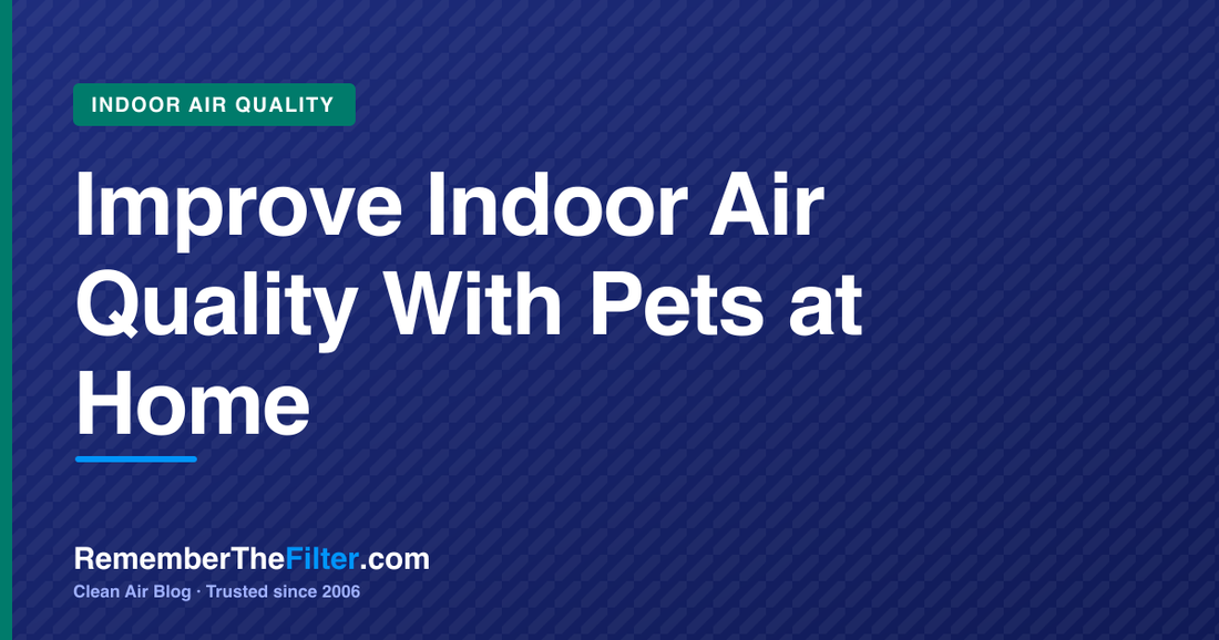 Improve Indoor Air Quality With Pets at Home